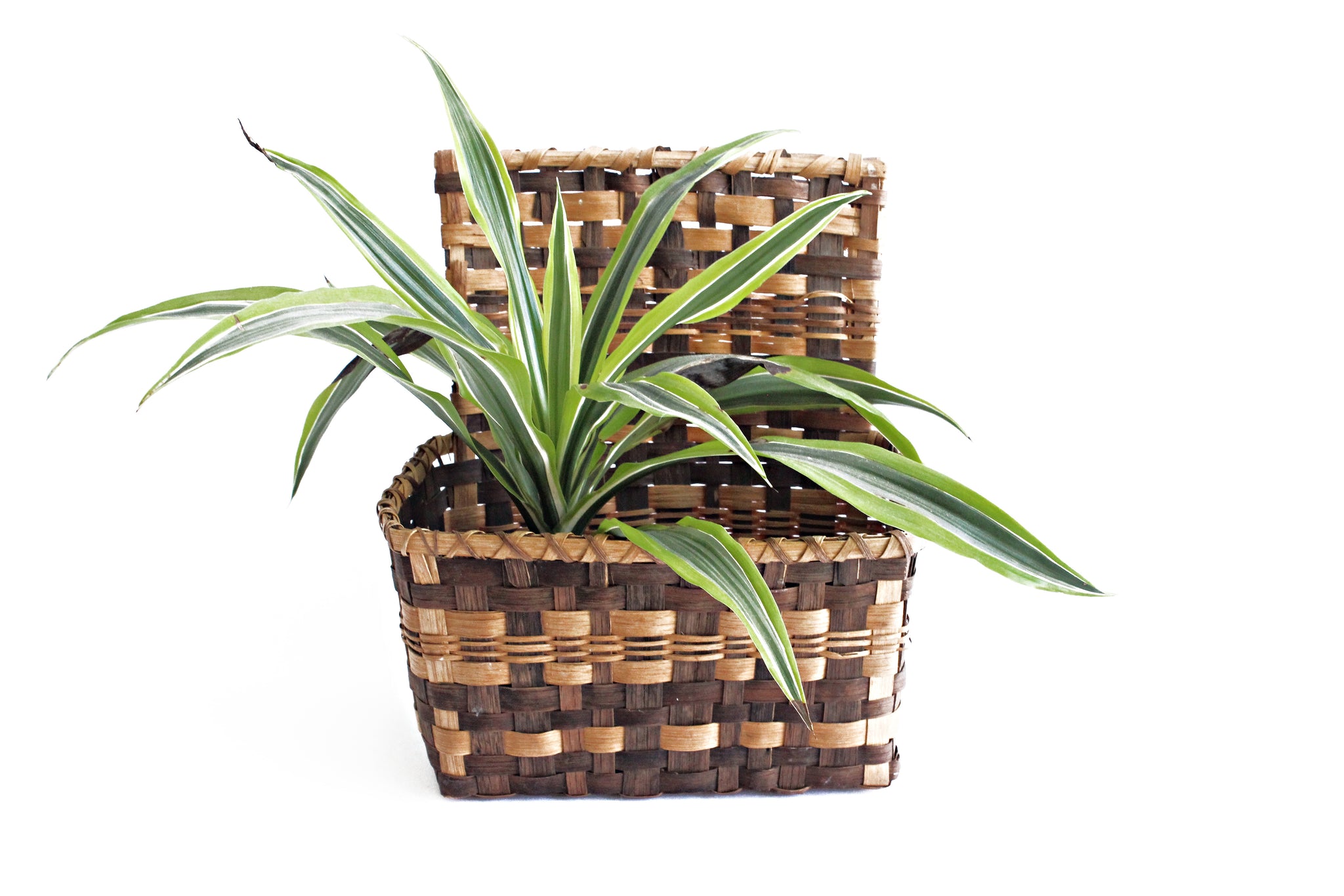1970's Woven Bamboo Storage Basket, Entry Table Organization Basket, Hanging Basket Planter