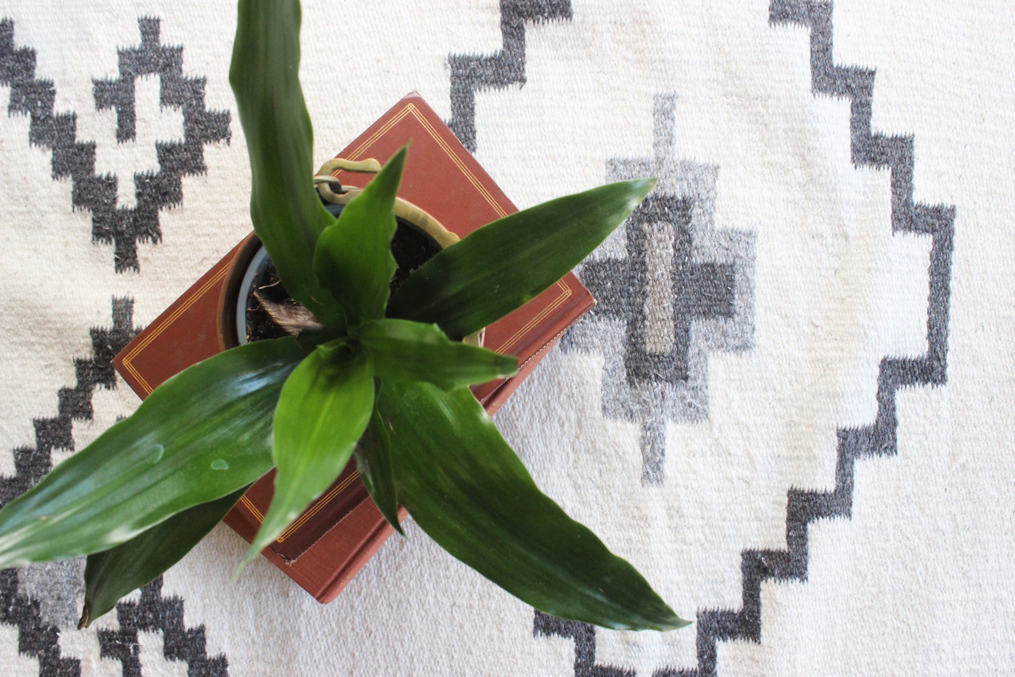Mexican Area Rug, Small Geometric Pattern Rug, Woven Wool Accent Rug