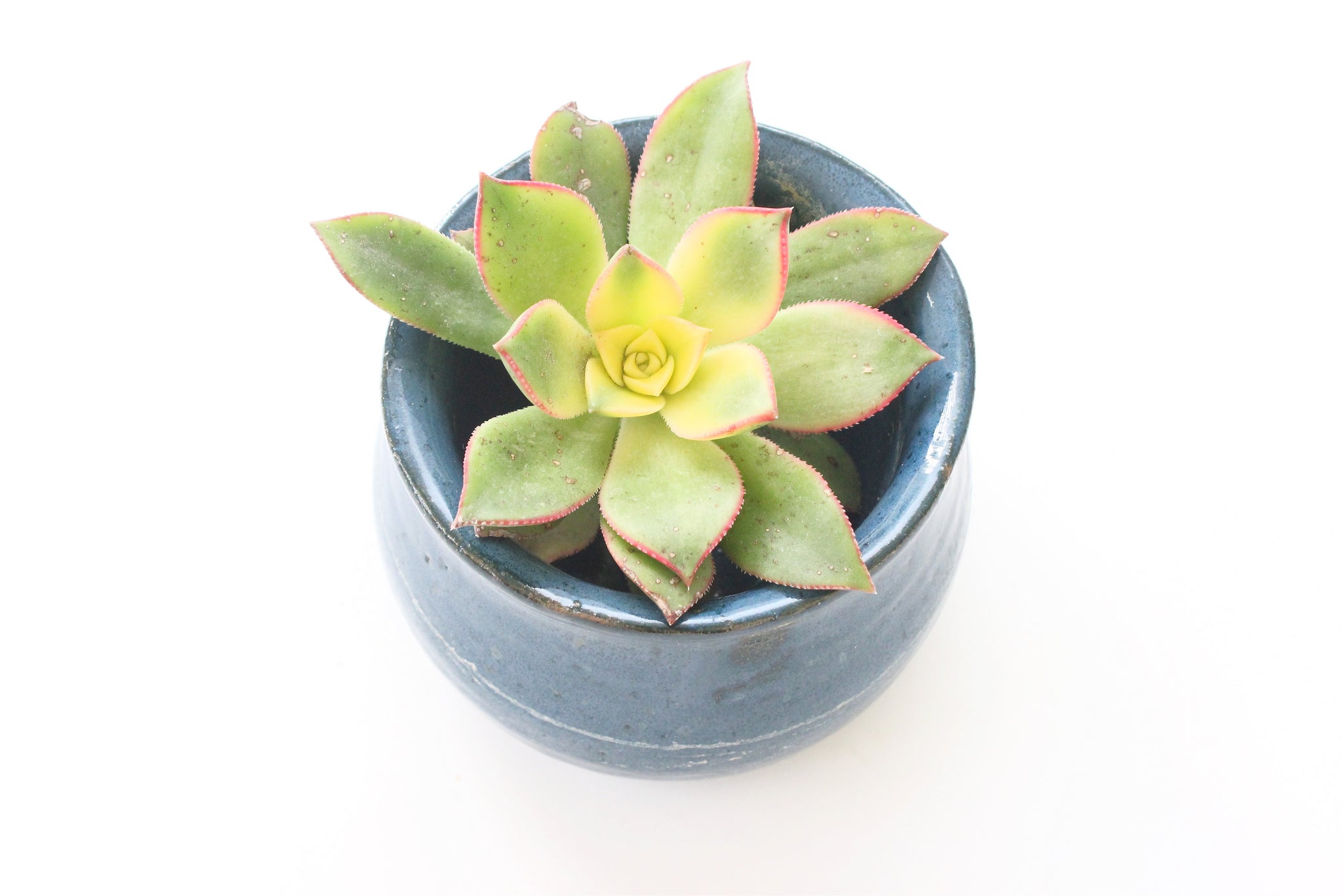 Handmade Stoneware Bowl, Small 1970's Trinket Bowl, Air Plant Display