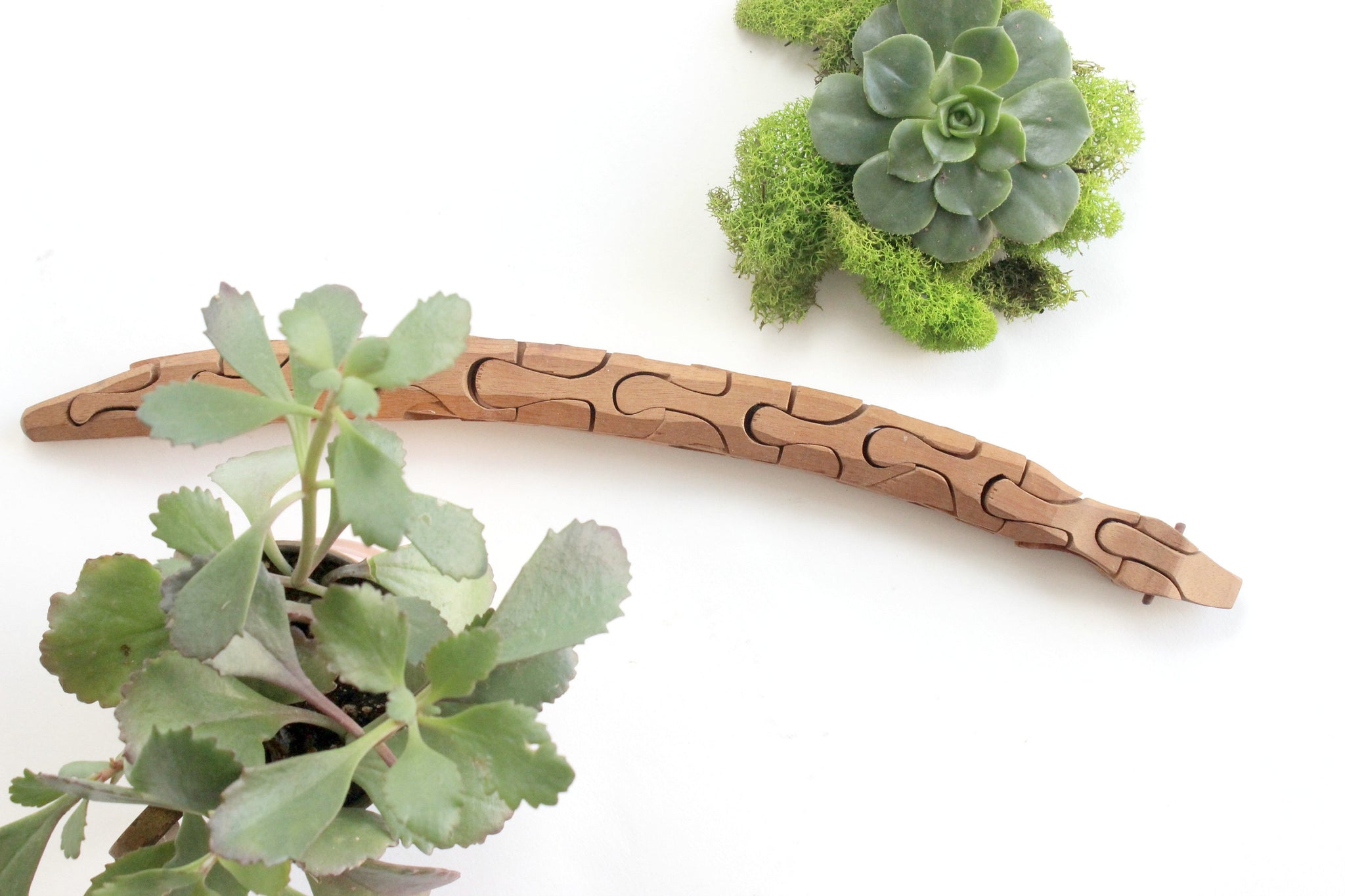 Wooden Toy Snake