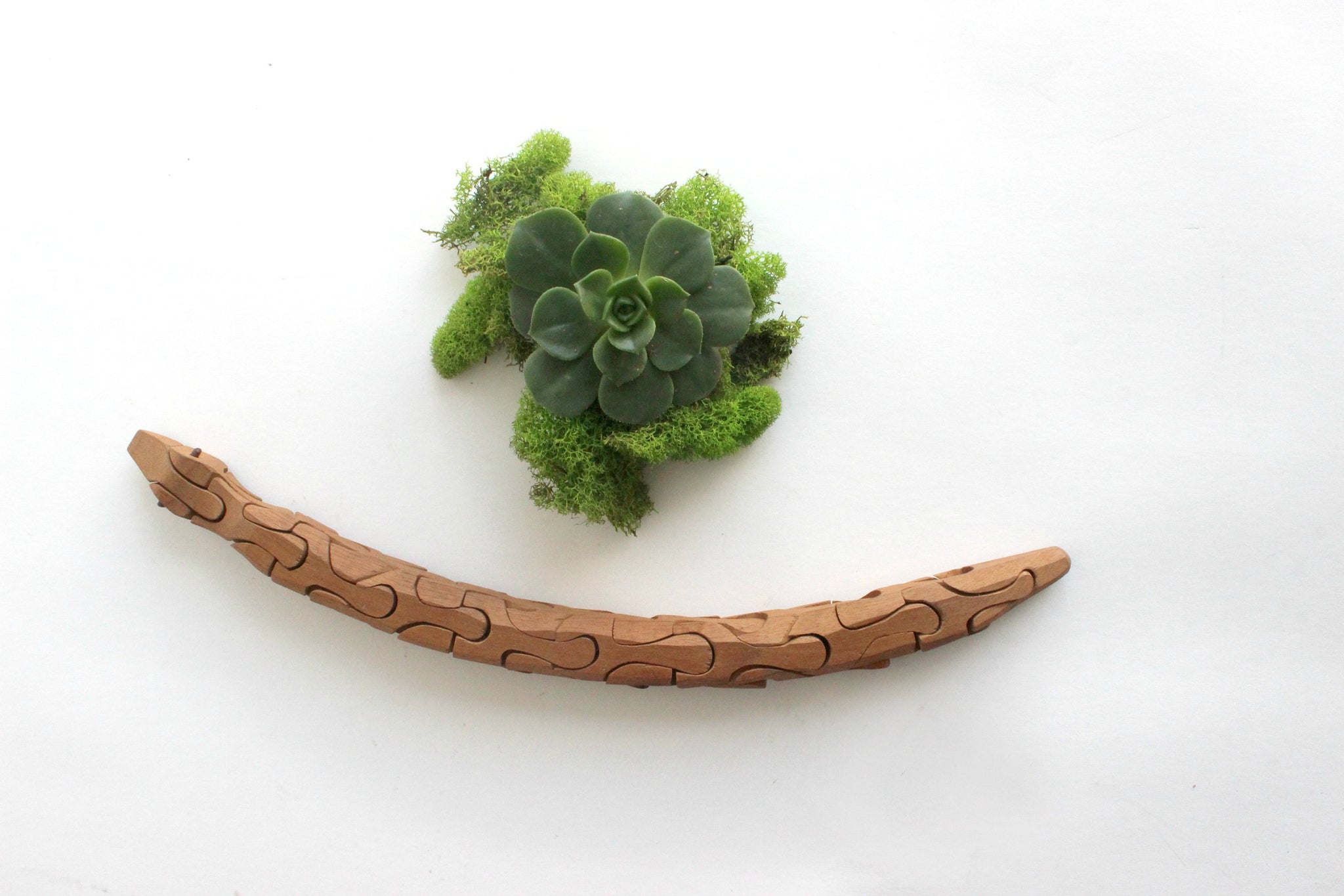 Wooden Toy Snake