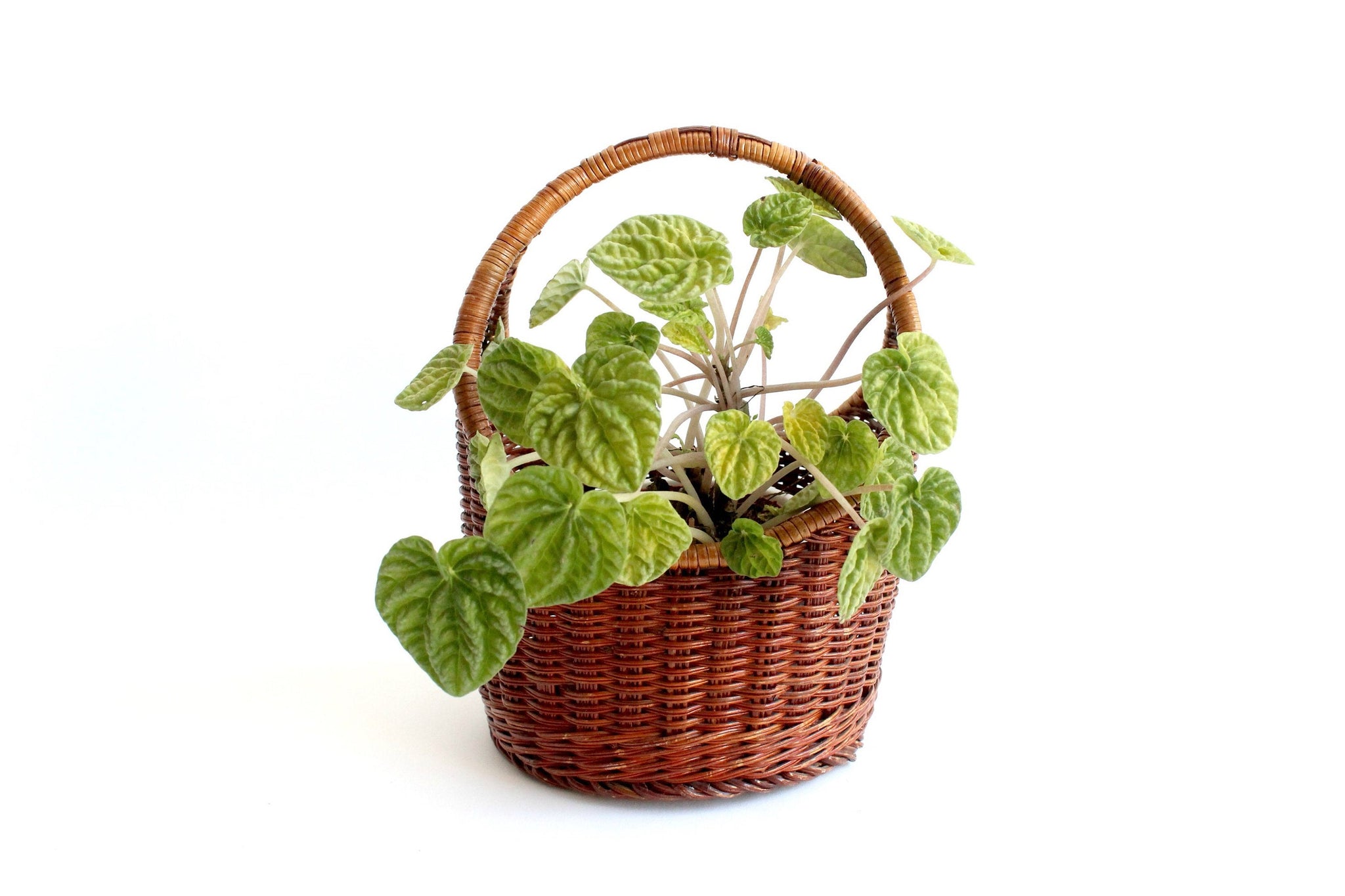 Woven Rattan Basket