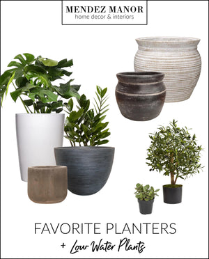 Our Favorite Planters & Low Water Plants