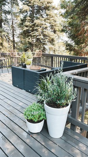 Plants & Planters / Lake Arrowhead Cabin Deck