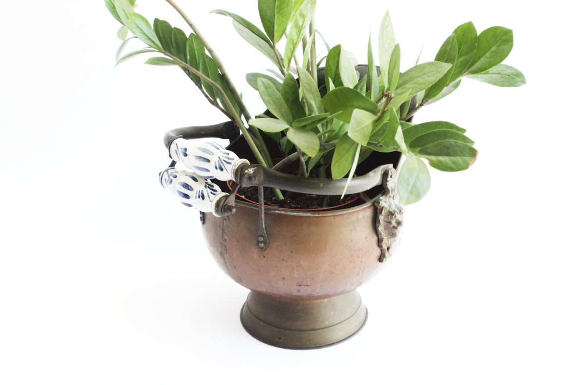 Vintage Brass Coal Scuttle, Indoor Planter, Flower Pot