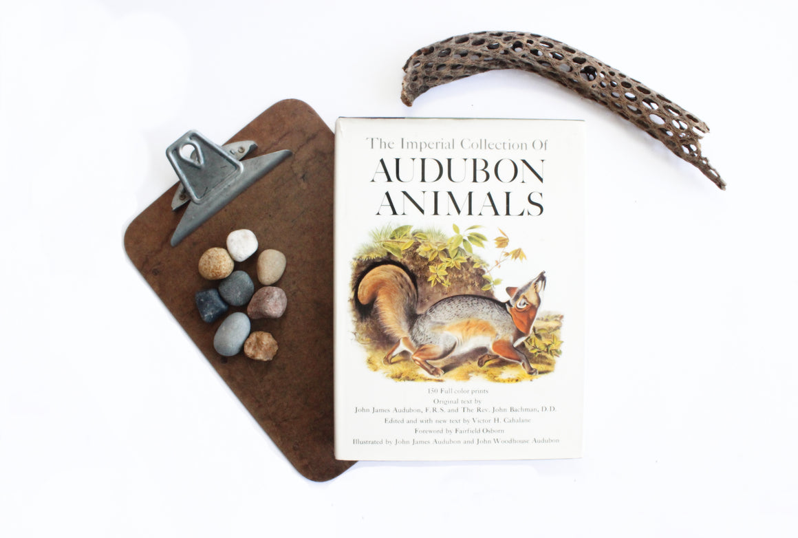 Vintage Hardcover Reference Book, The Imperial Collection of Audubon Animals, Full Color Prints