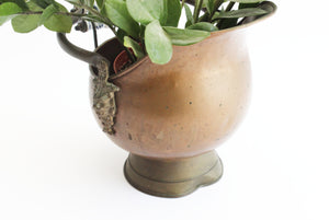 Vintage Brass Coal Scuttle, Indoor Planter, Flower Pot